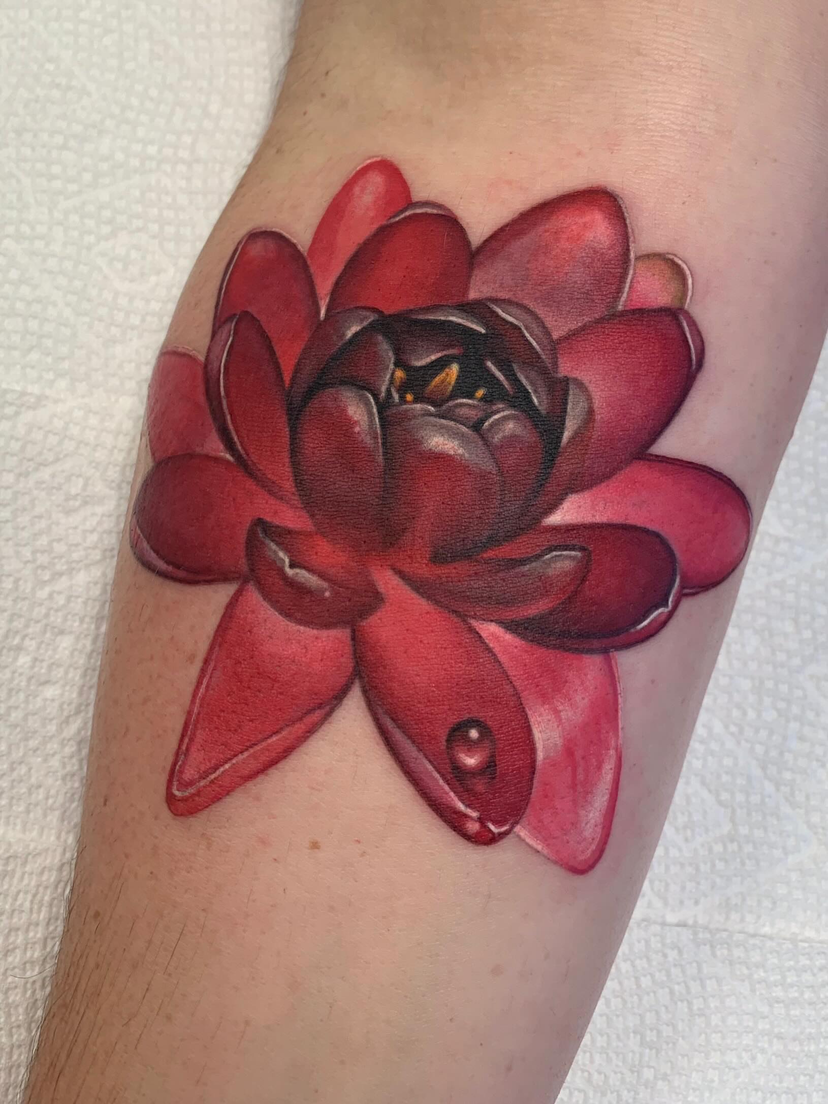 Tattoo by @taratimoon — realism