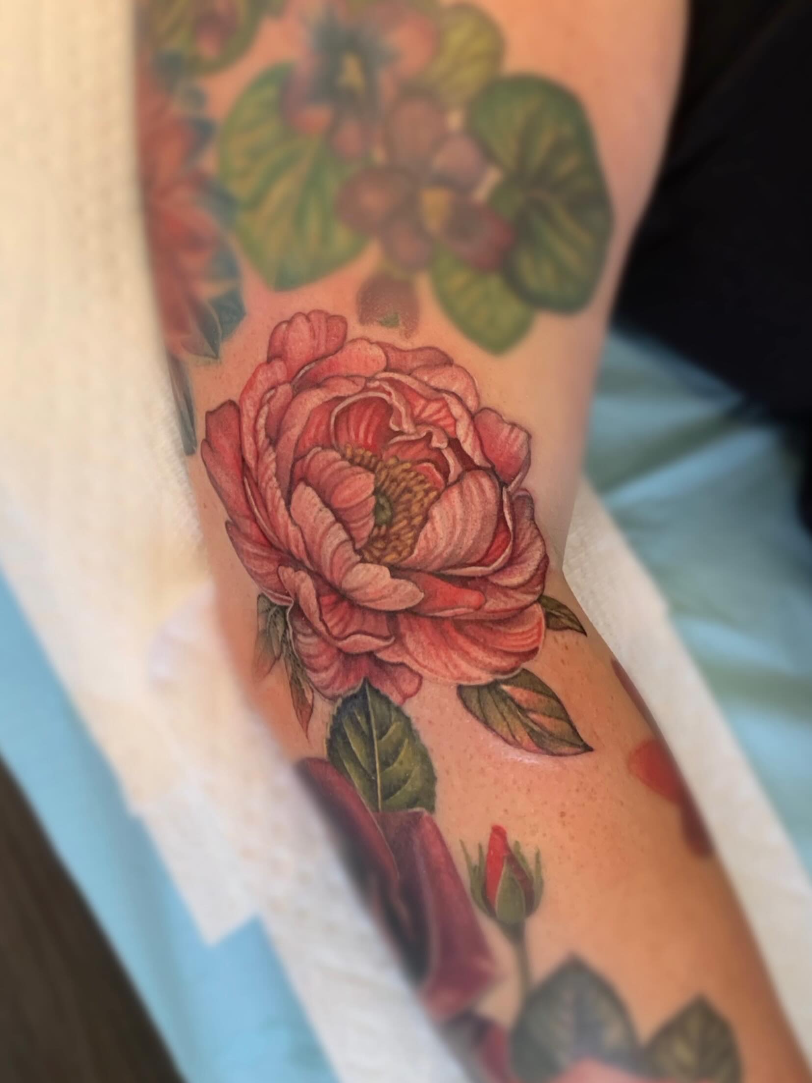 Tattoo by @taratimoon — realism