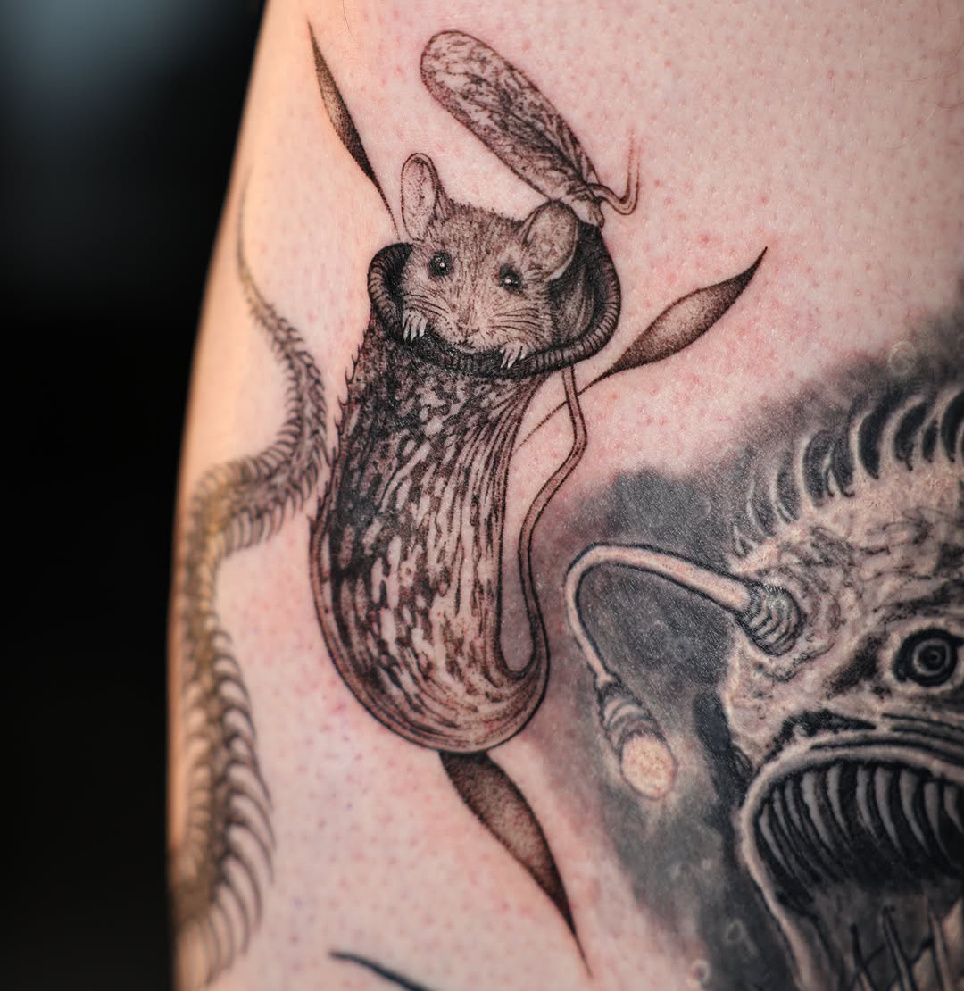 Tattoo by @fckthetinytattooer — black_and_grey, realism