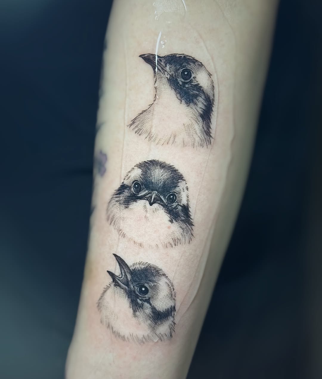 Three bird heads fine line tattoo on the forearm by 墨匠紋身|新店店, New Taipei City