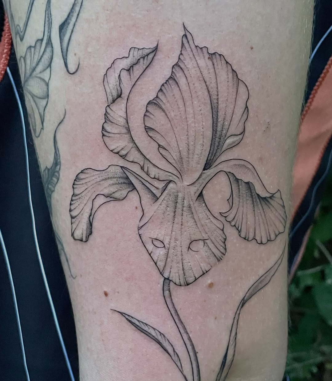 Tattoo by @mimiblu_stattoos — fine_line, black_and_grey