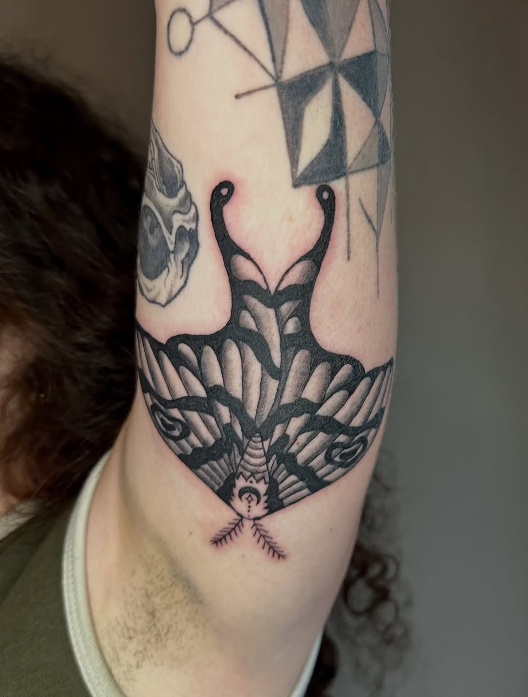 Moth fine line tattoo on the forearm by Jadelin, San Francisco, California