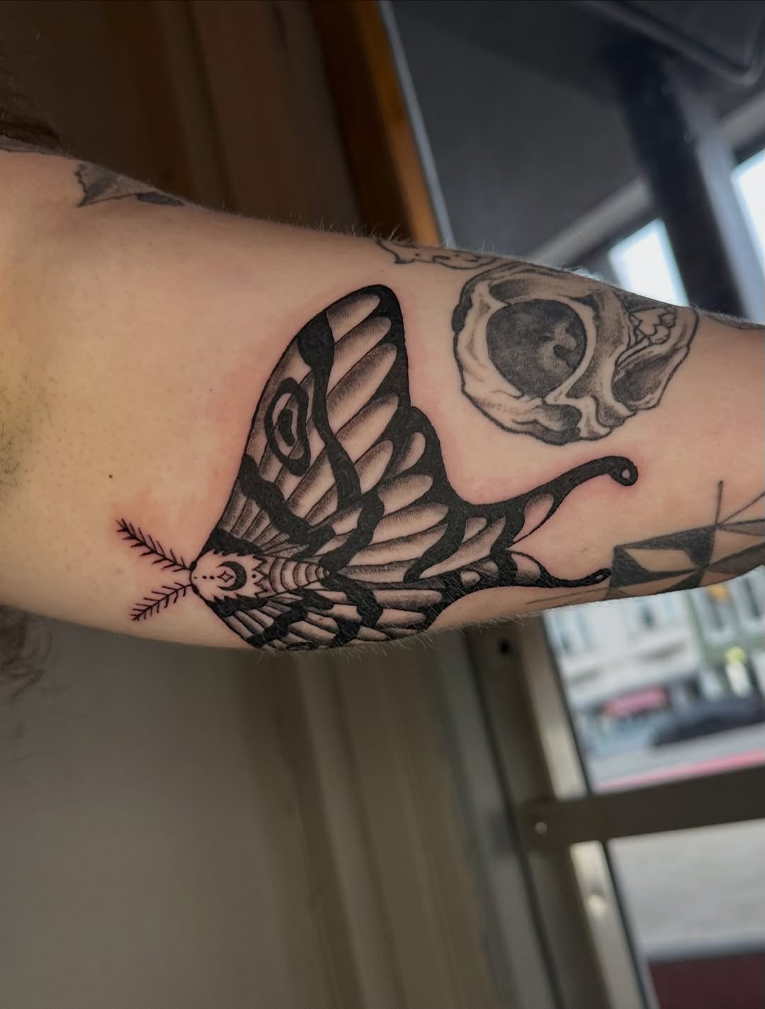 Moth butterfly fine line tattoo on the forearm by Jadelin, San Francisco, California