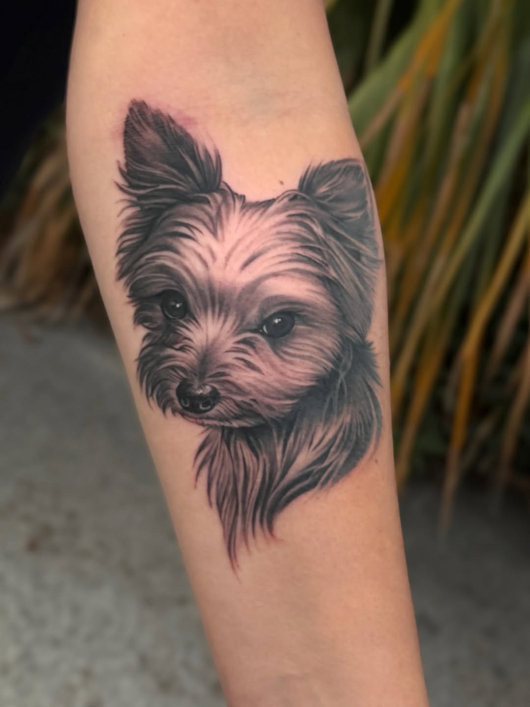 Tattoo by @jamesboagtattoos — realism, black_and_grey