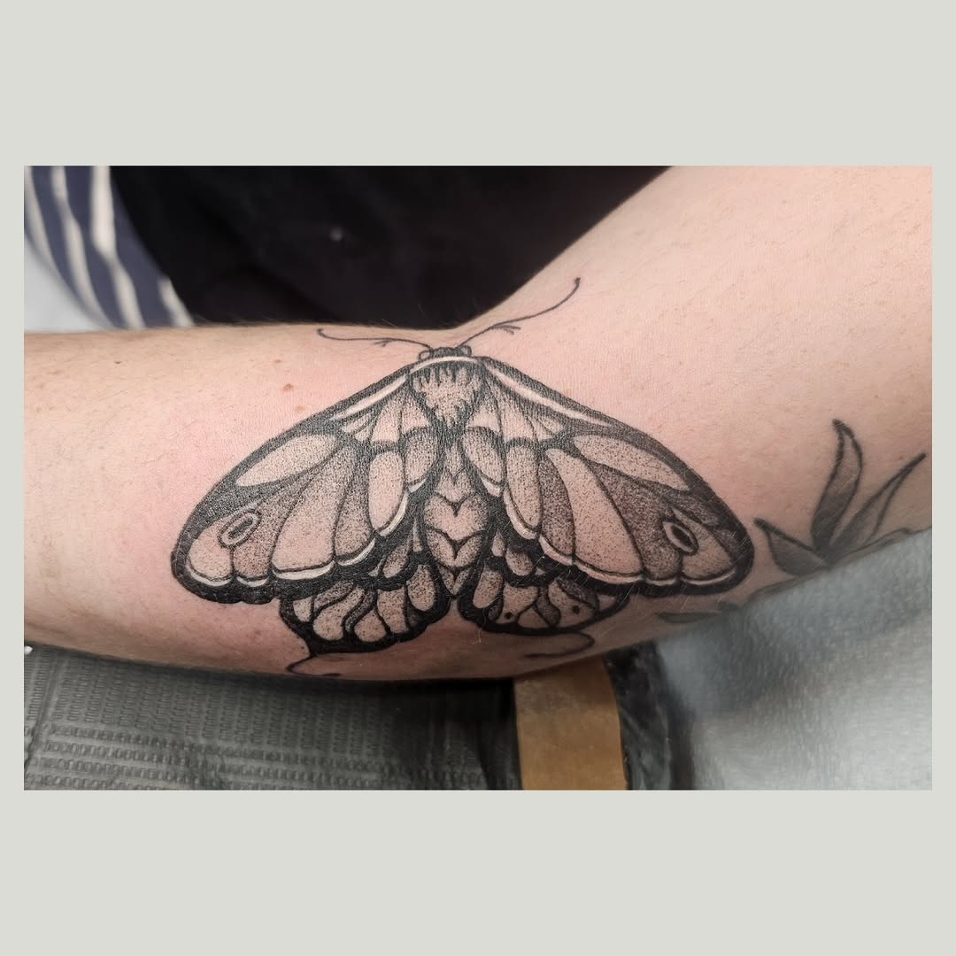 Moth fine line tattoo on the forearm by The Fabled Tattooist (Alyssa Summers), Eagle Point, Oregon