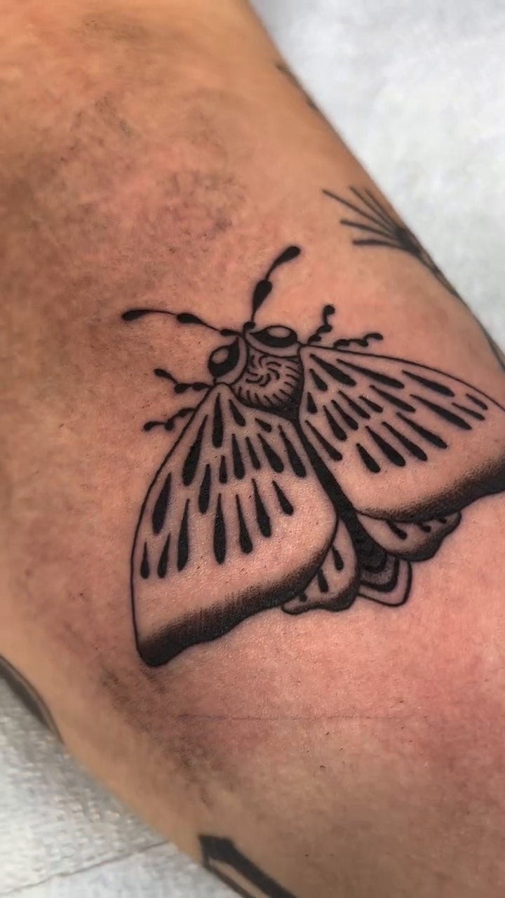 Moth tattoo fine line tattoo on the forearm by dayton skuse, Portland, Oregon