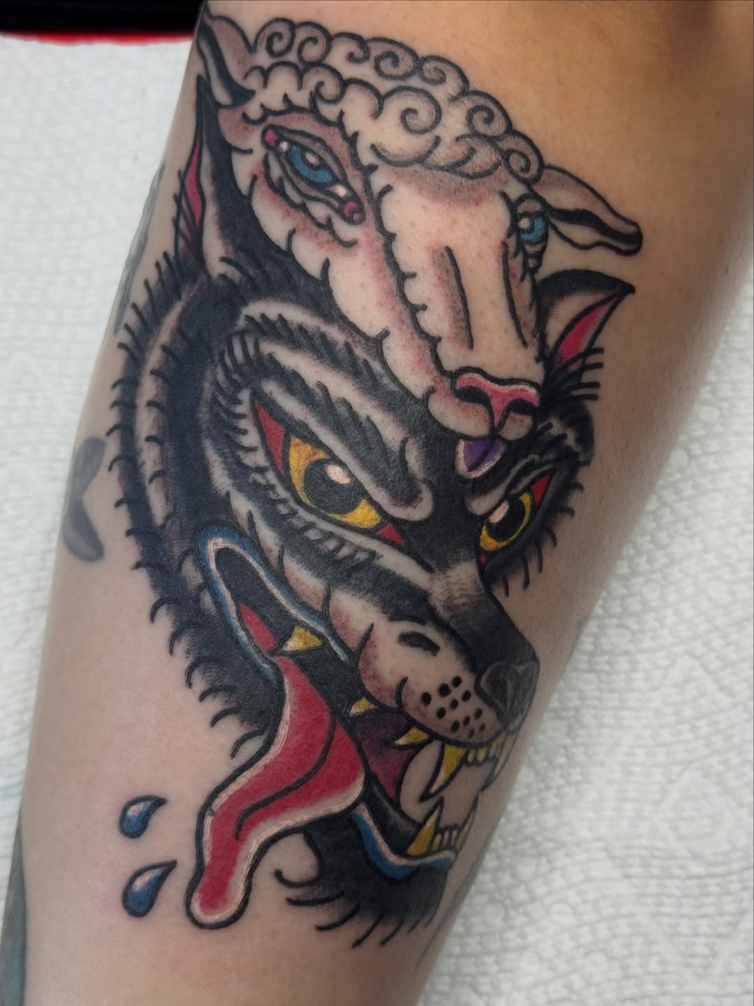 Wolf in sheep's clothing realism tattoo on the forearm by 🌛 𐌀𐌋𐌄𐋄𐌉𐌔 🌜