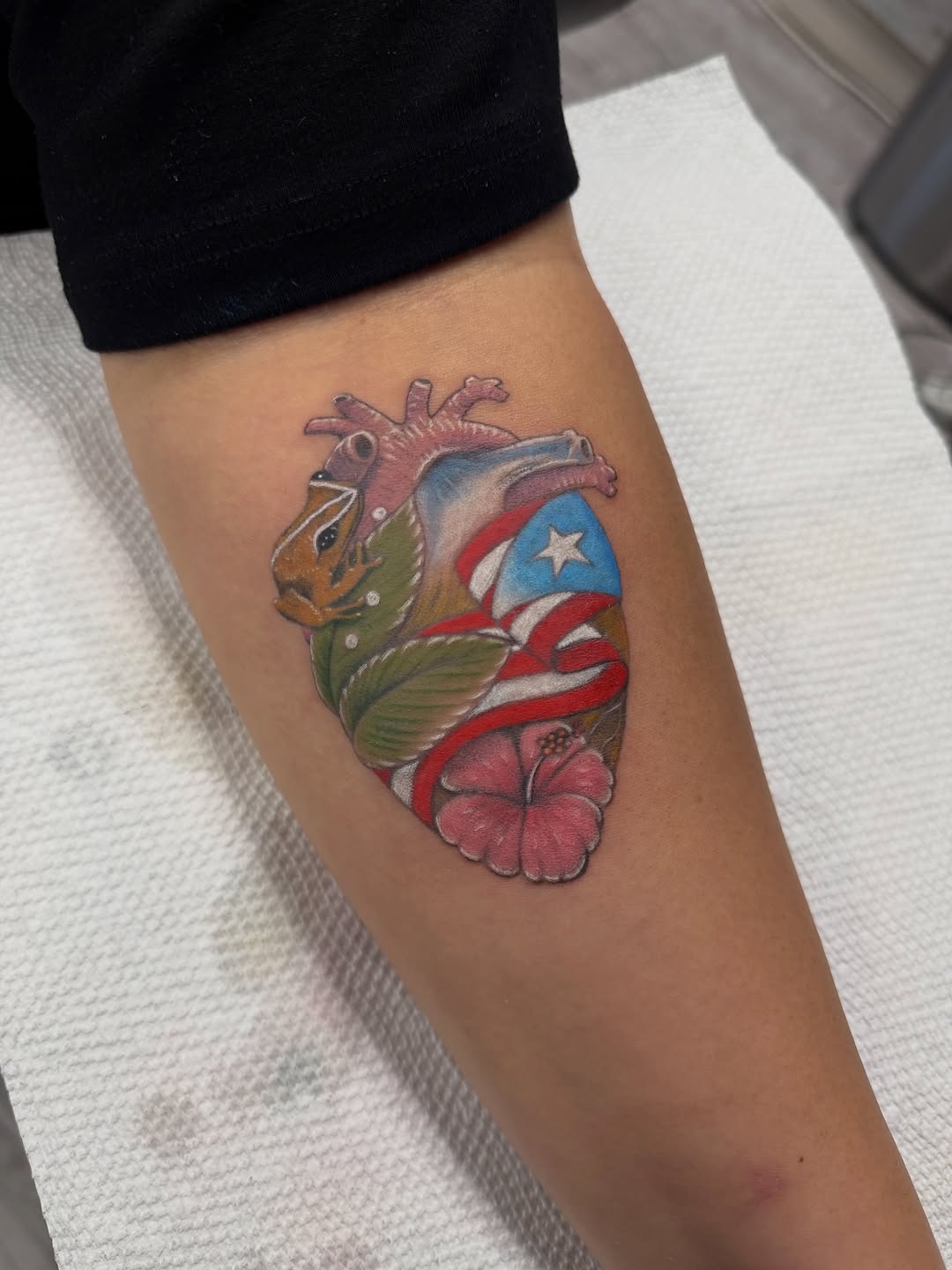American traditional tattoo on the forearm by Raciel Fabian Romero
