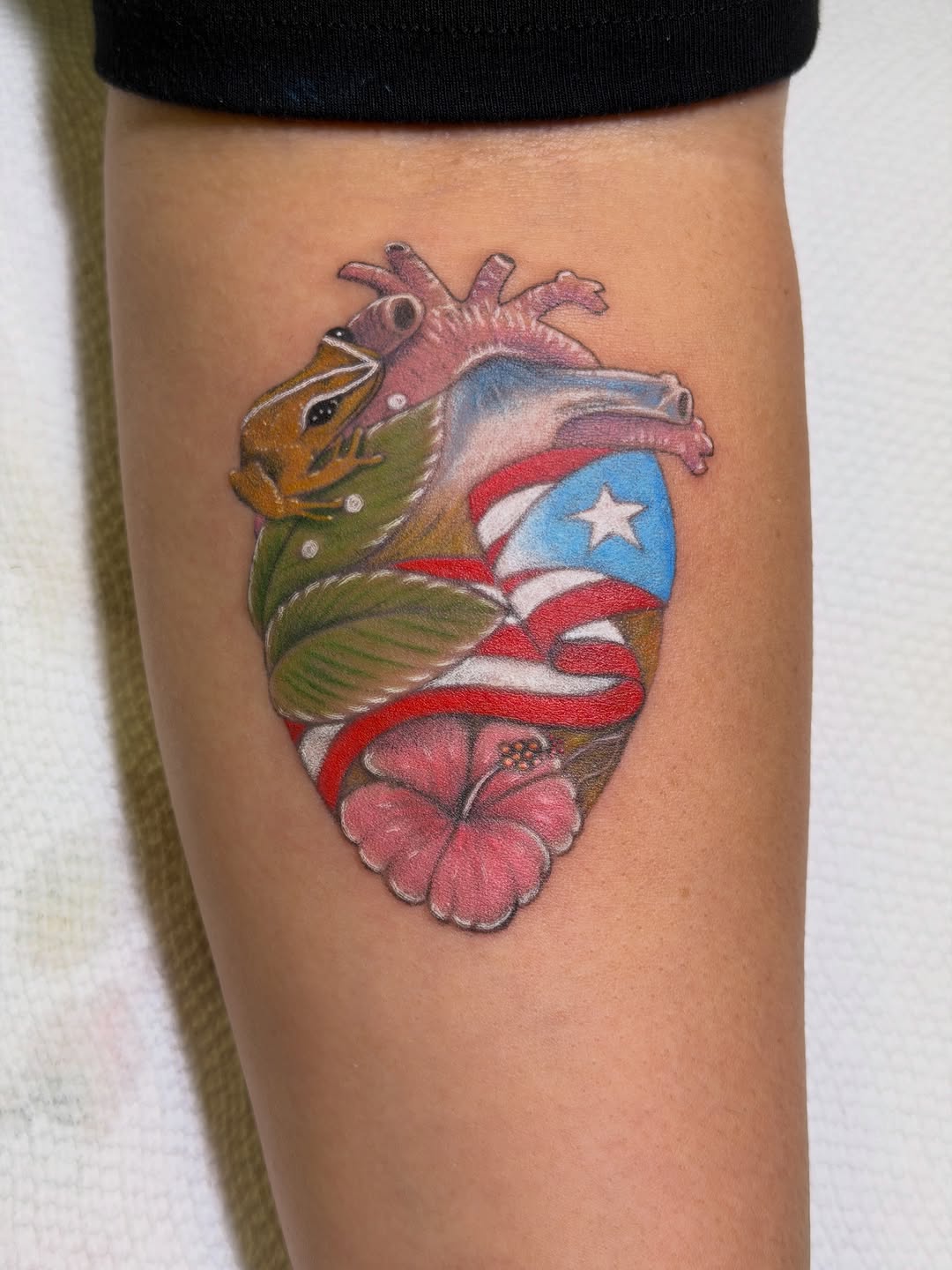 Watercolor tattoo on the forearm by Raciel Fabian Romero