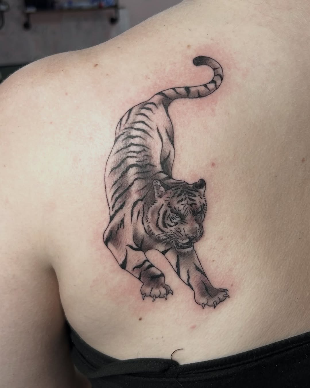 Tiger realism tattoo on the shoulder by Red✨, Gansevoort, New York