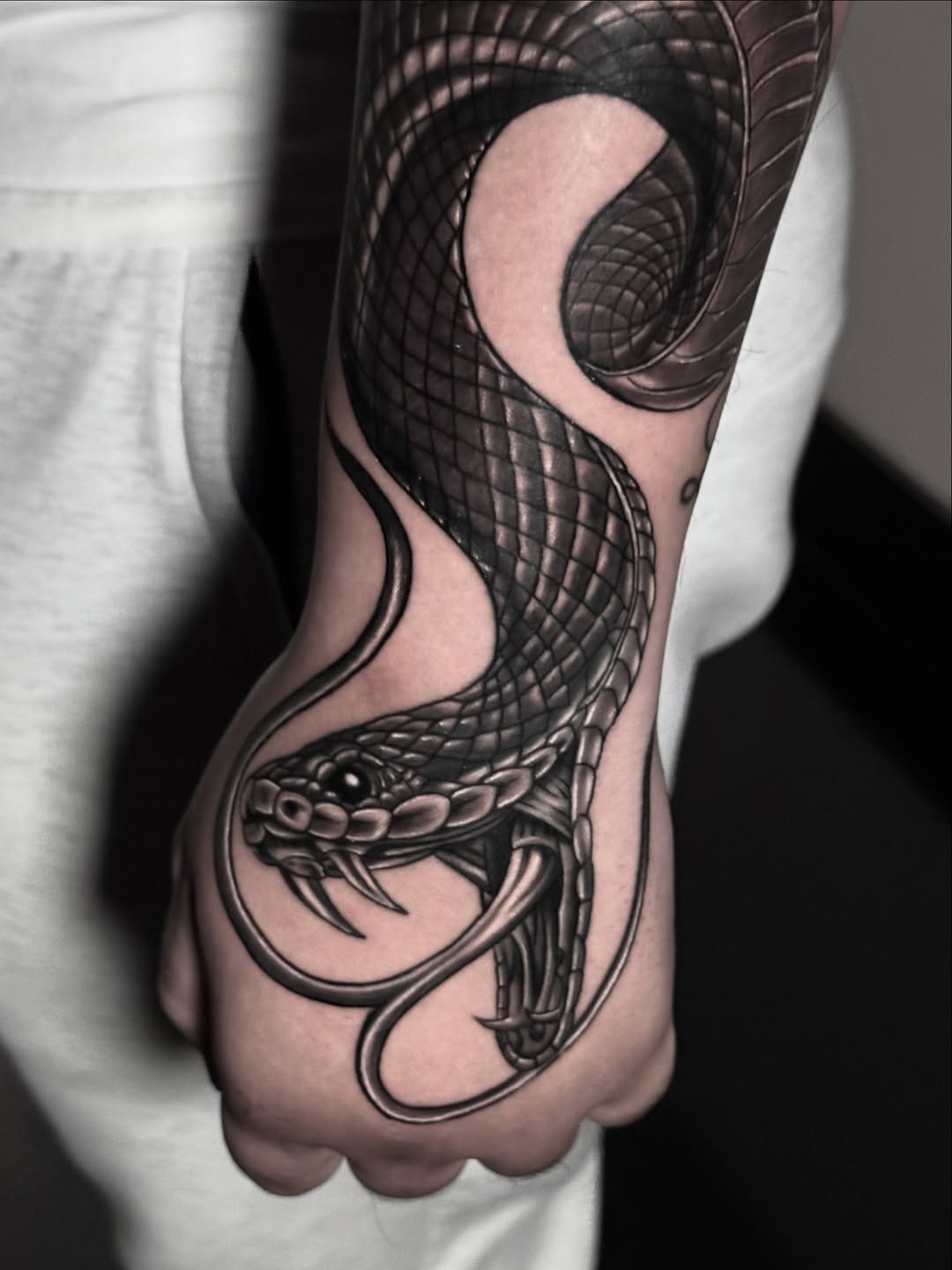 Snake American traditional tattoo on the forearm by Chris galvis, Charlotte, North Carolina