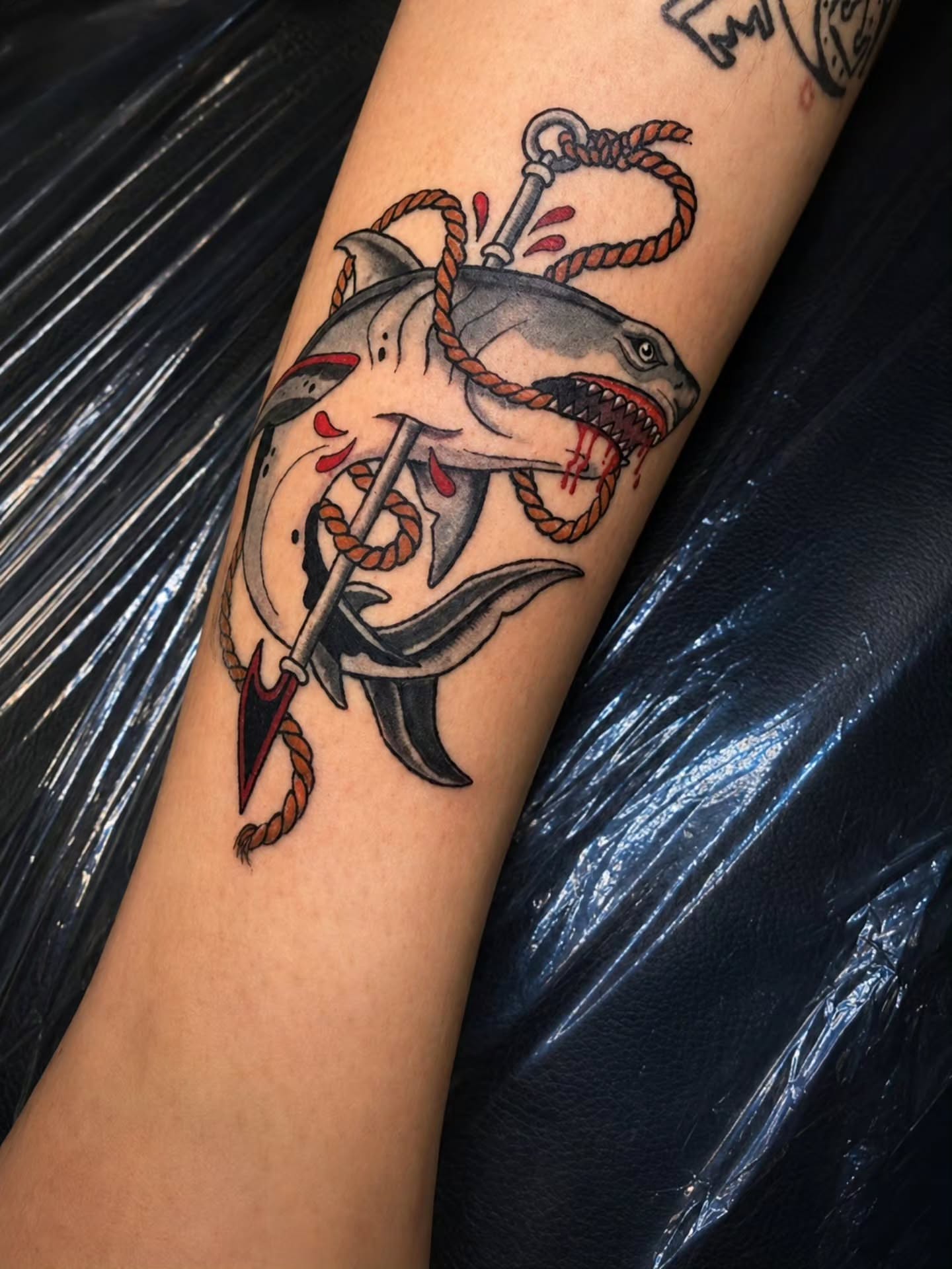 Shark and anchor American traditional tattoo on the forearm by 𝕷𝖚𝖈𝖎𝖉