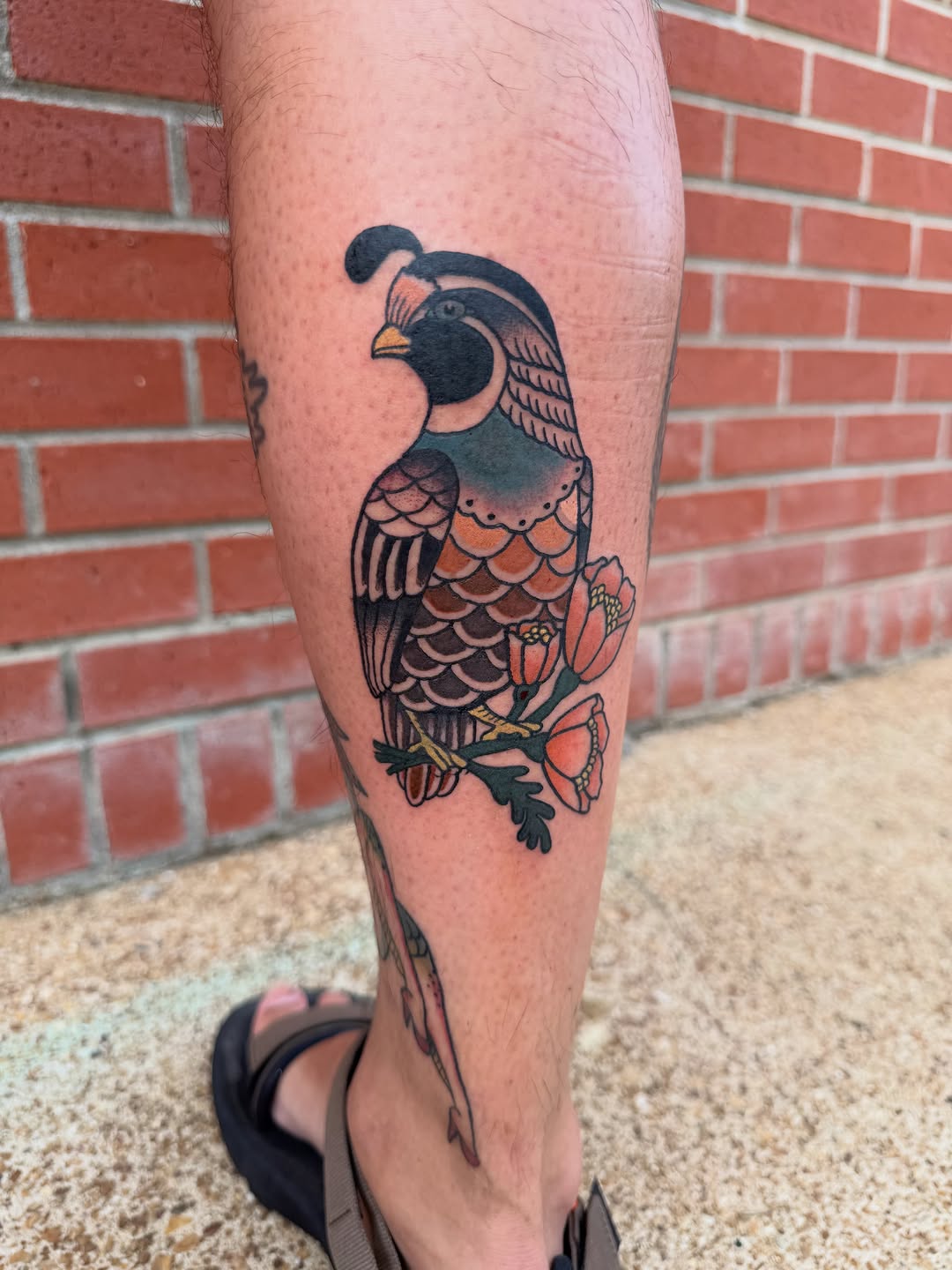Tattoo by @tatsbythealycat — american_traditional, neo_traditional