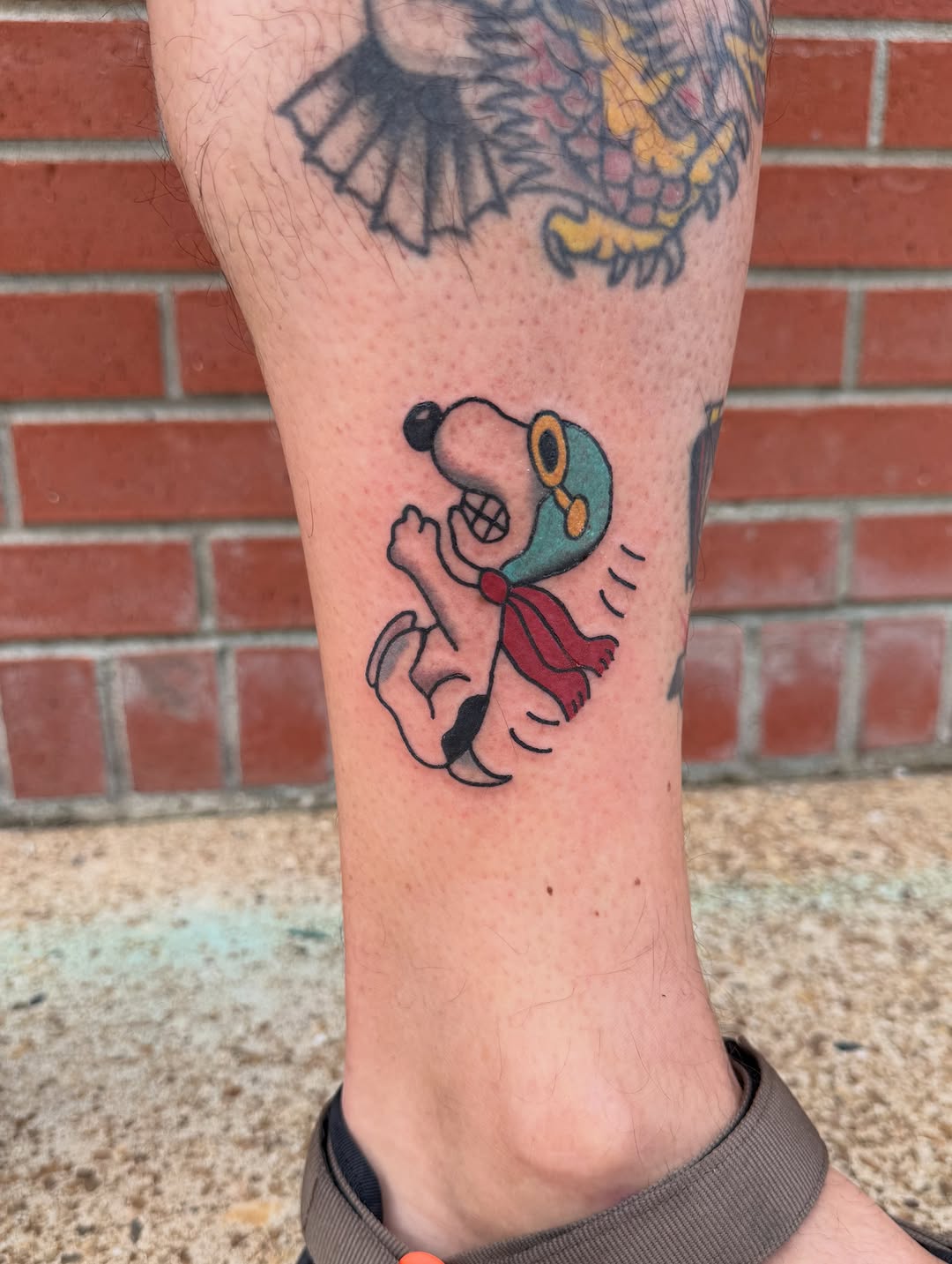 Tattoo by @tatsbythealycat — american_traditional, new_school