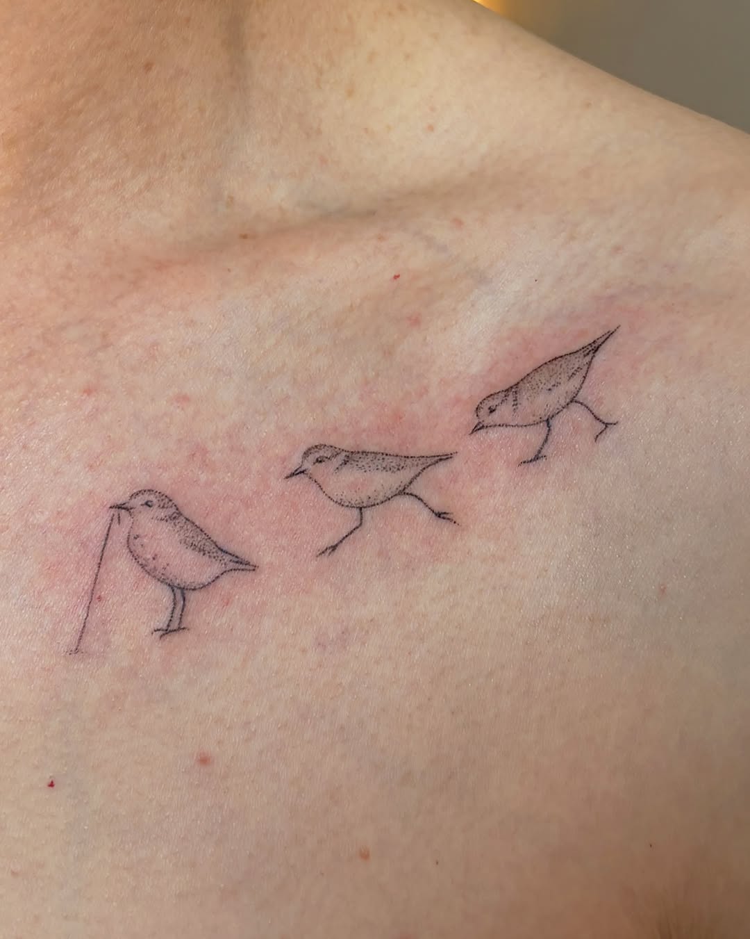 Three birds fine line tattoo on the shoulder by alli ミ☆