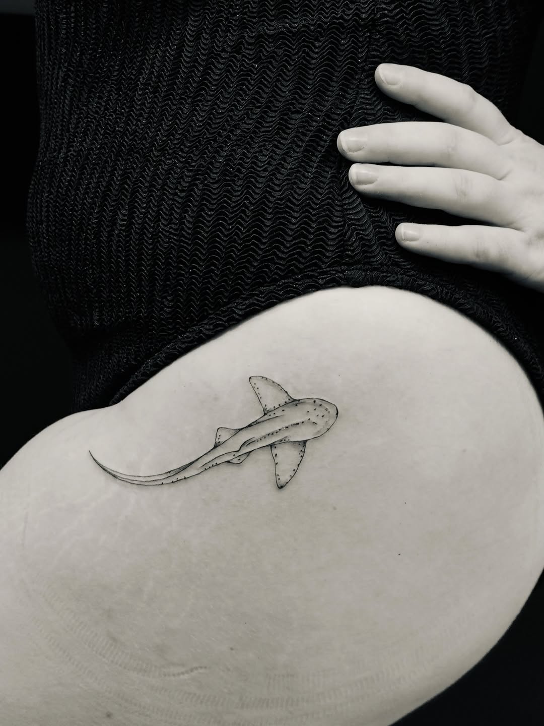 Shark fine line tattoo on the thigh by Tattoo Takayo