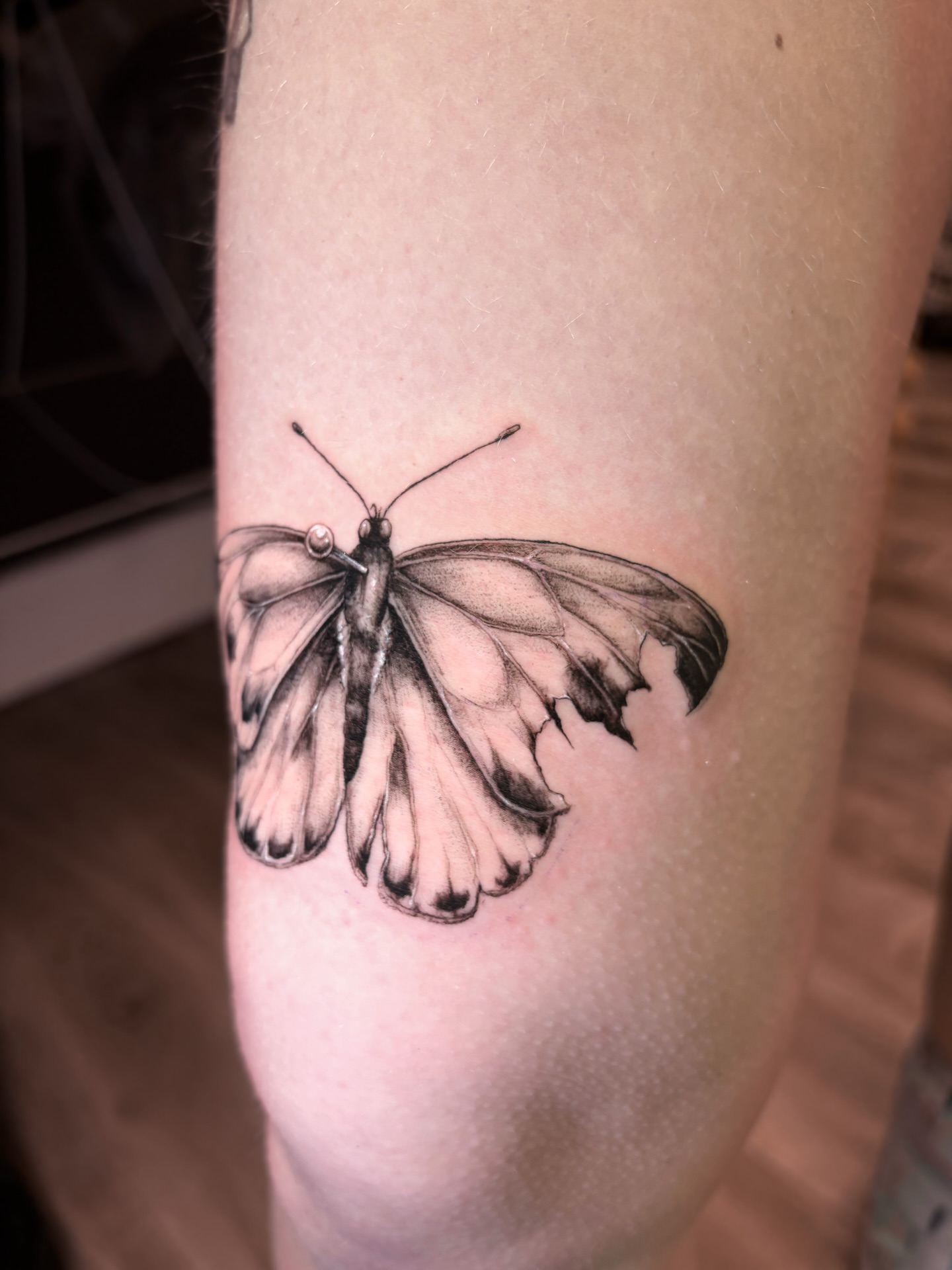 Tattoo by @jenpetronella — realism