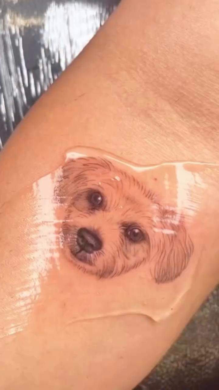 Dog portrait realism tattoo on the forearm by kt