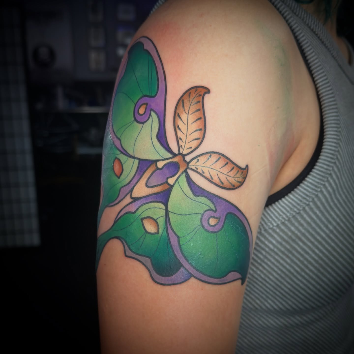 Moth new school tattoo on the shoulder by Luke Mullins, Frederick, Maryland