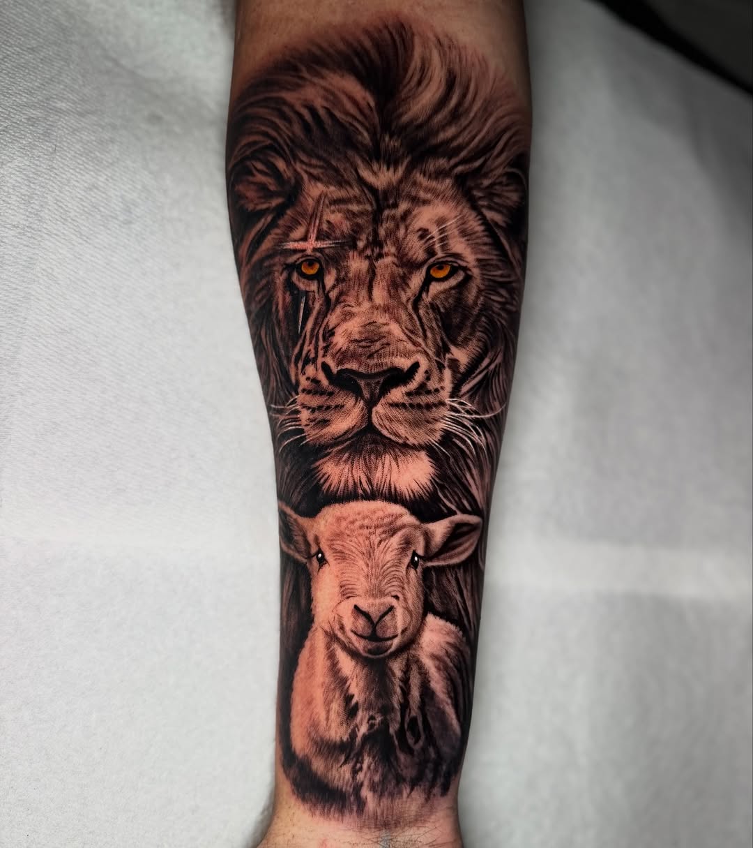 Lion and lamb realism tattoo on the forearm by Anthony Ramirez