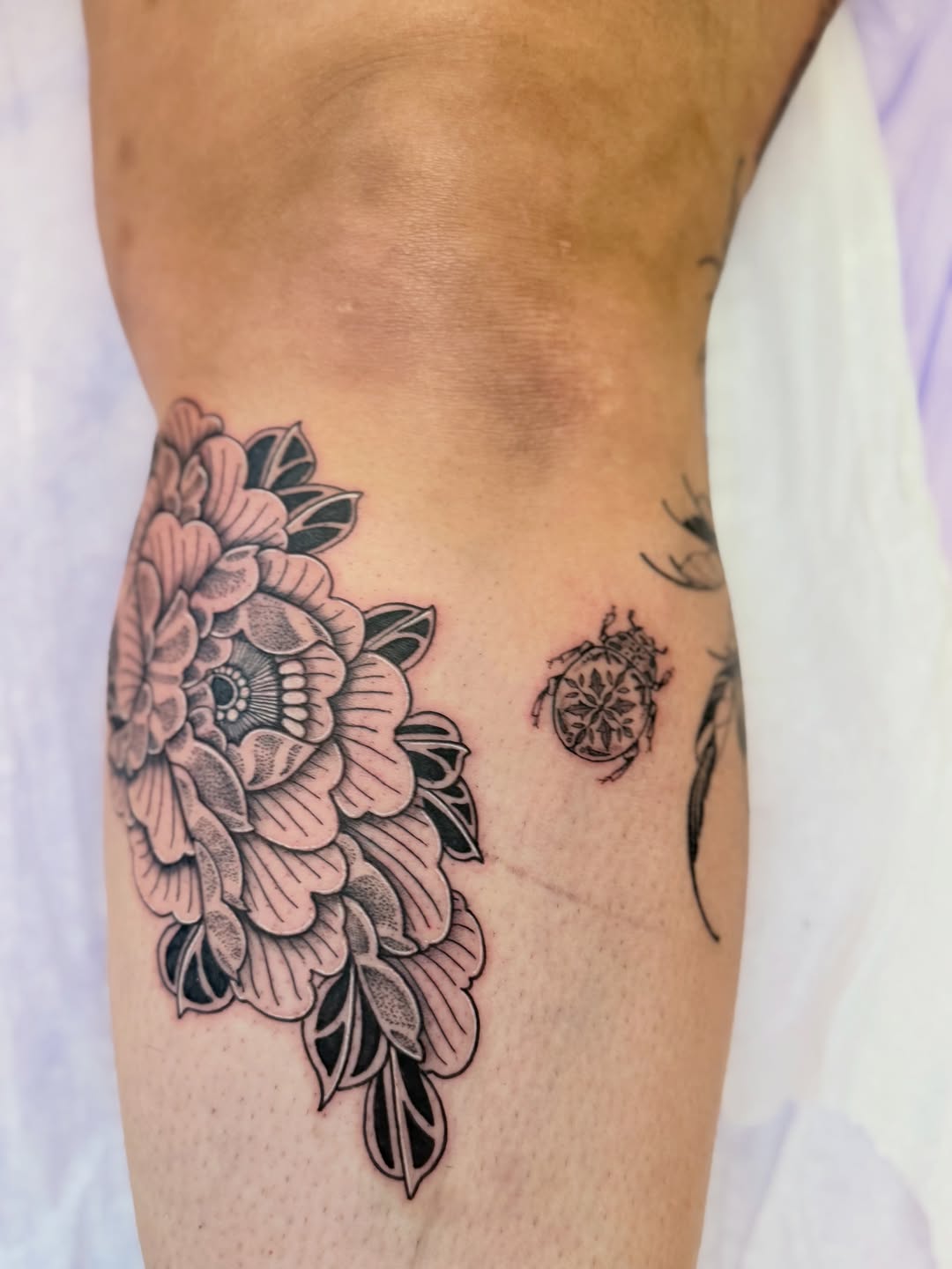 Peony and beetle dotwork tattoo on the forearm by Ink About Me - Amanda’s Fine Lines
