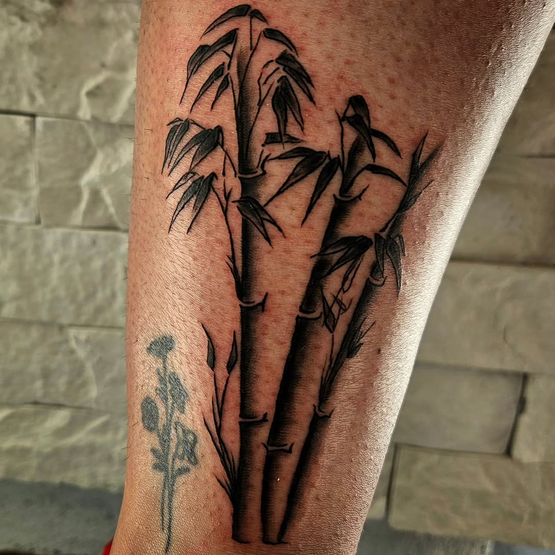 Bamboo stalks fine line tattoo on the forearm by Lina ๐ป