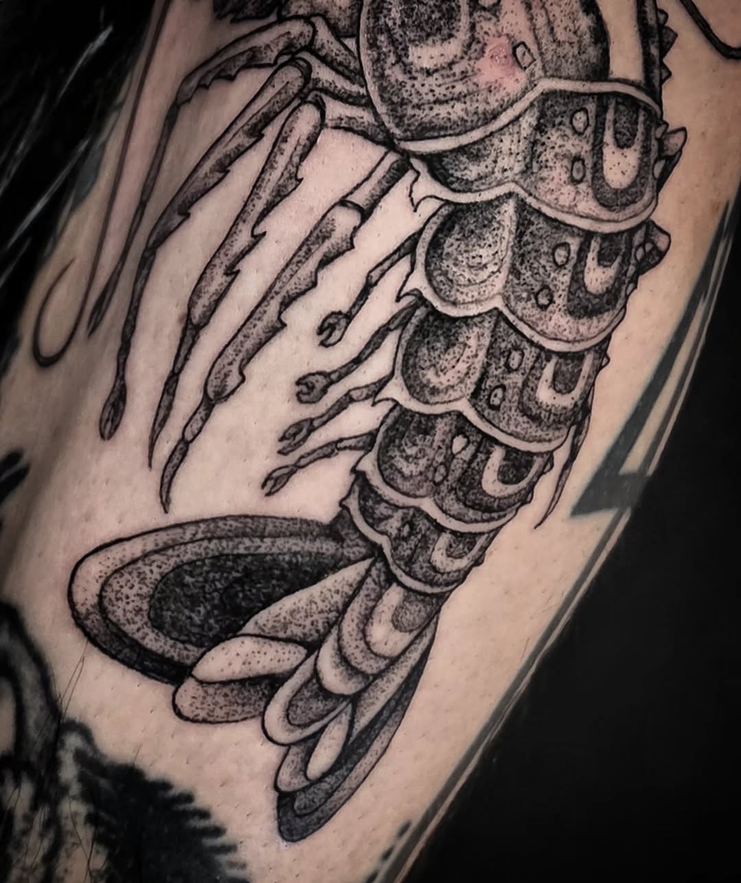 Tattoo by @el_tejon โ black_and_grey, dotwork
