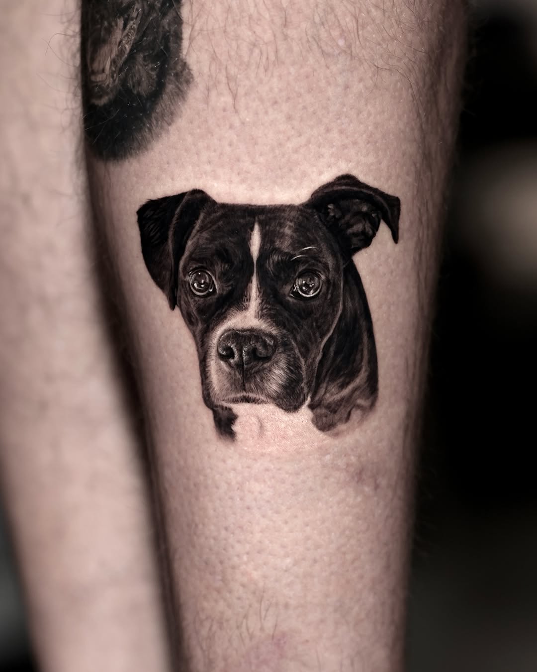 Dog portrait realism tattoo on the forearm by LA Tattoo Yeono
