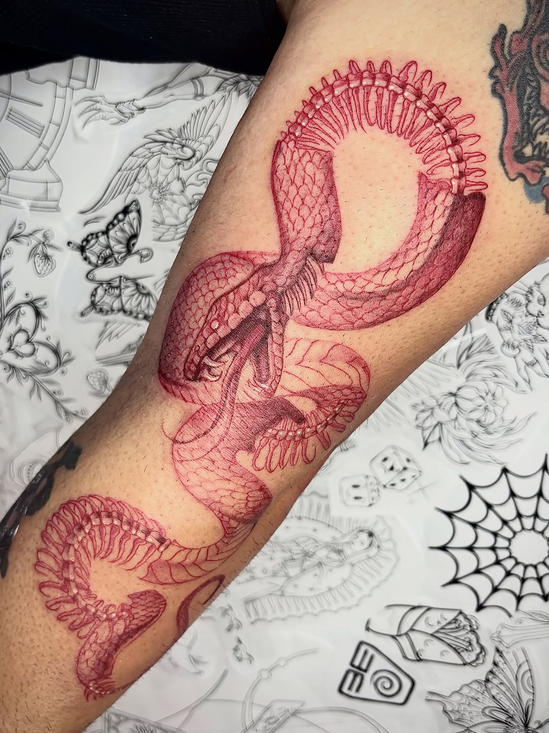 Snake skeleton American traditional tattoo on the forearm by Weho Tattoo Artist Lupe