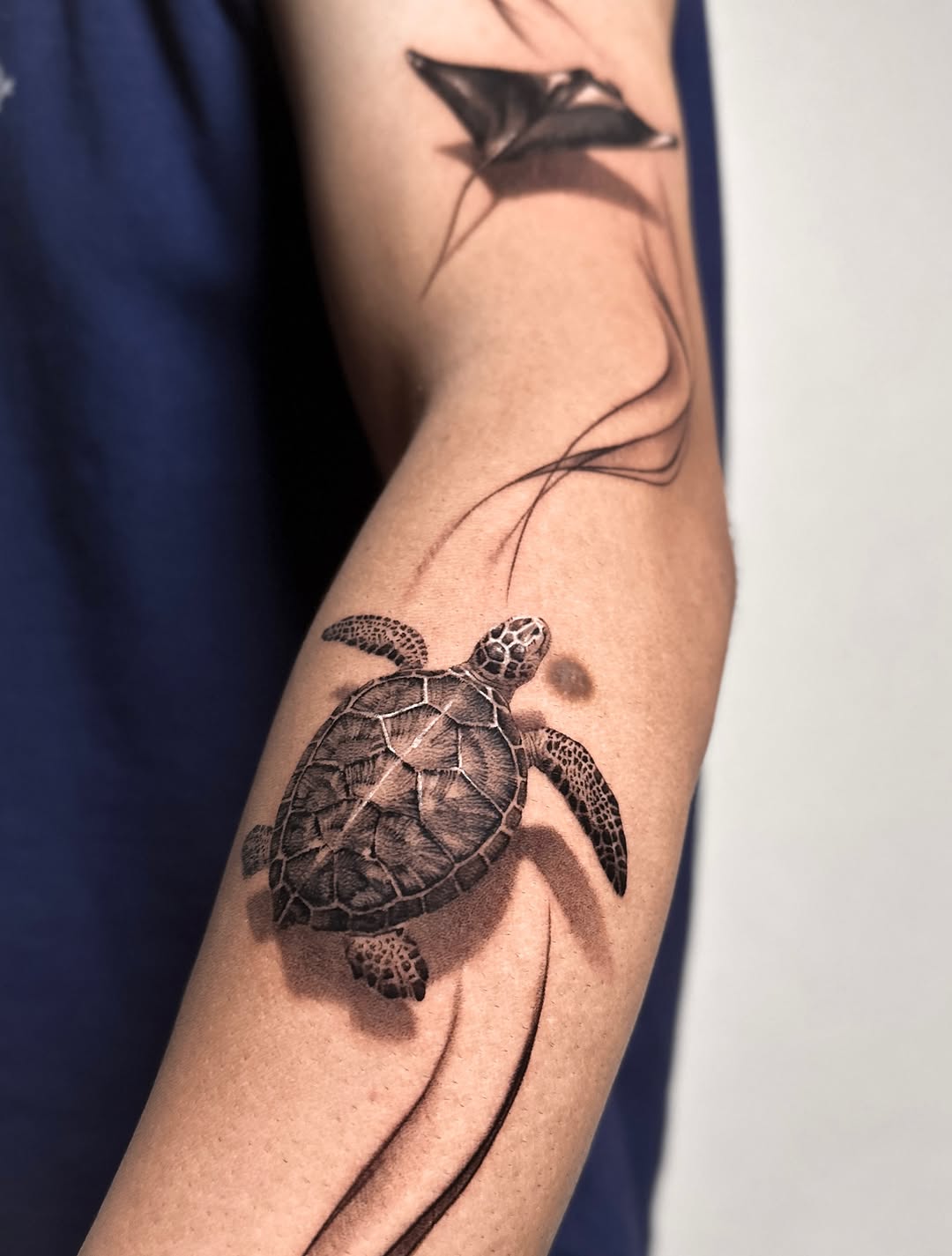 Sea turtle and manta ray fine line tattoo on the forearm by Saru