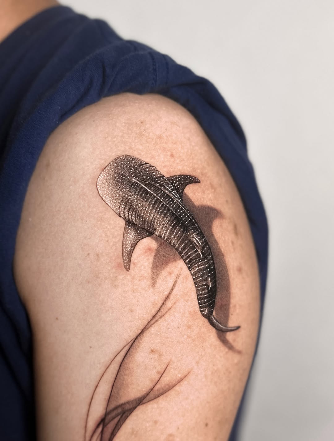 Whale shark fine line tattoo on the shoulder by Saru