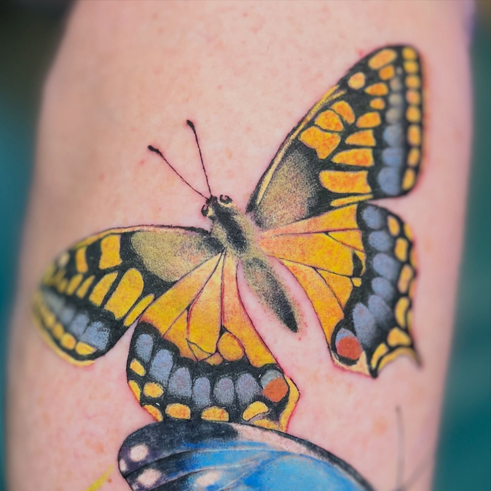 Tattoo by @rarepandatats — realism