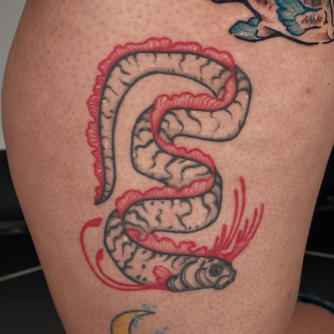 Tattoo by @thetattoolizard — american_traditional