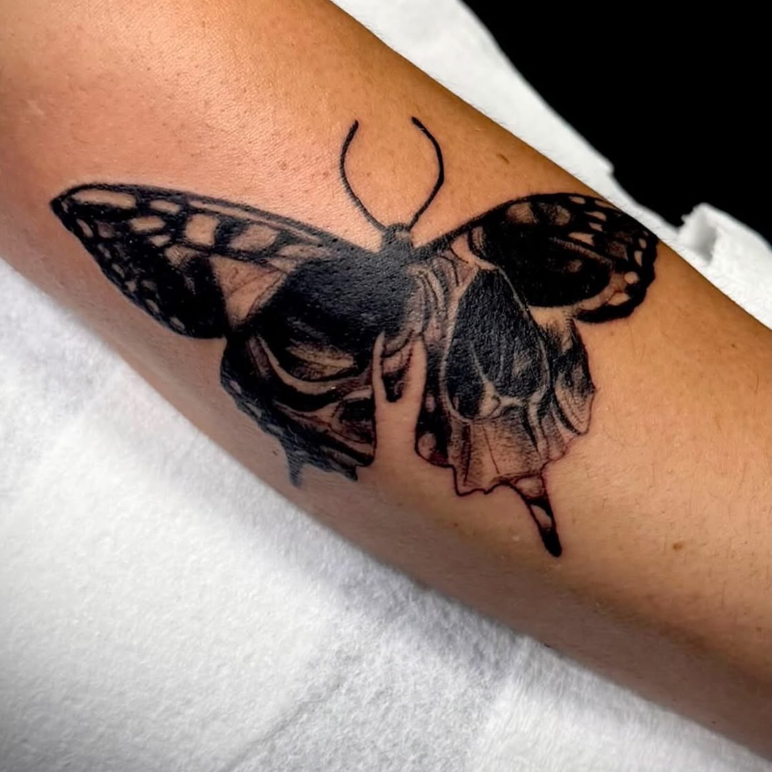 Butterfly black and grey tattoo on the forearm by Body Bar Deluxe, Virginia Beach, Virginia