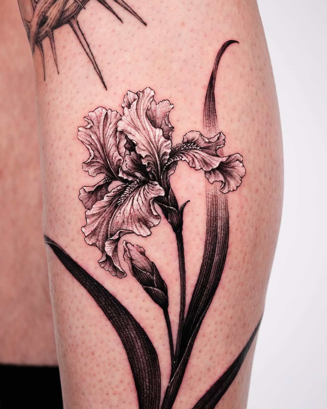 Iris flower dotwork tattoo on the thigh by Intat
