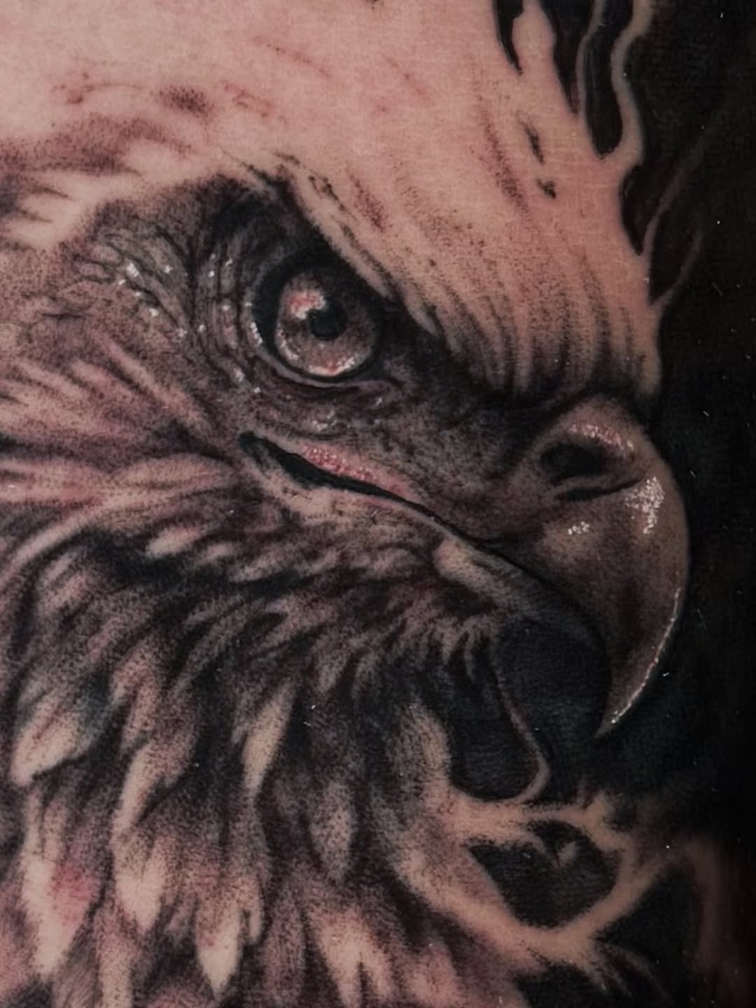Eagle portrait realism tattoo by πΈπππ πππ€