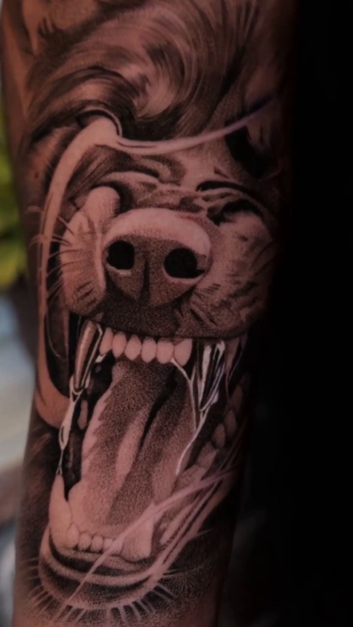 Aggressive wolf face realism tattoo on the forearm by Ana Fajardo