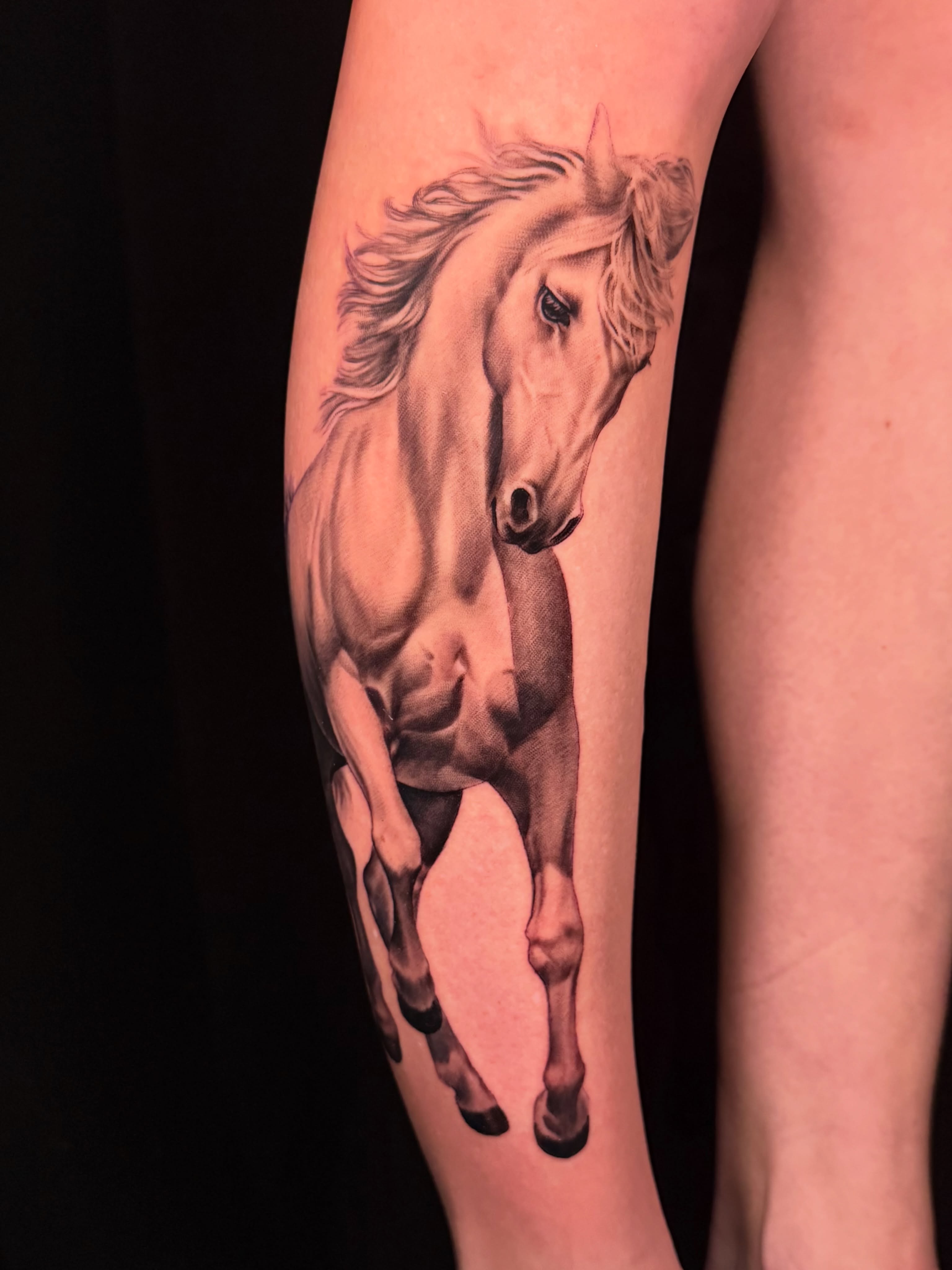 Galloping horse realism tattoo on the forearm by Christel Perkins