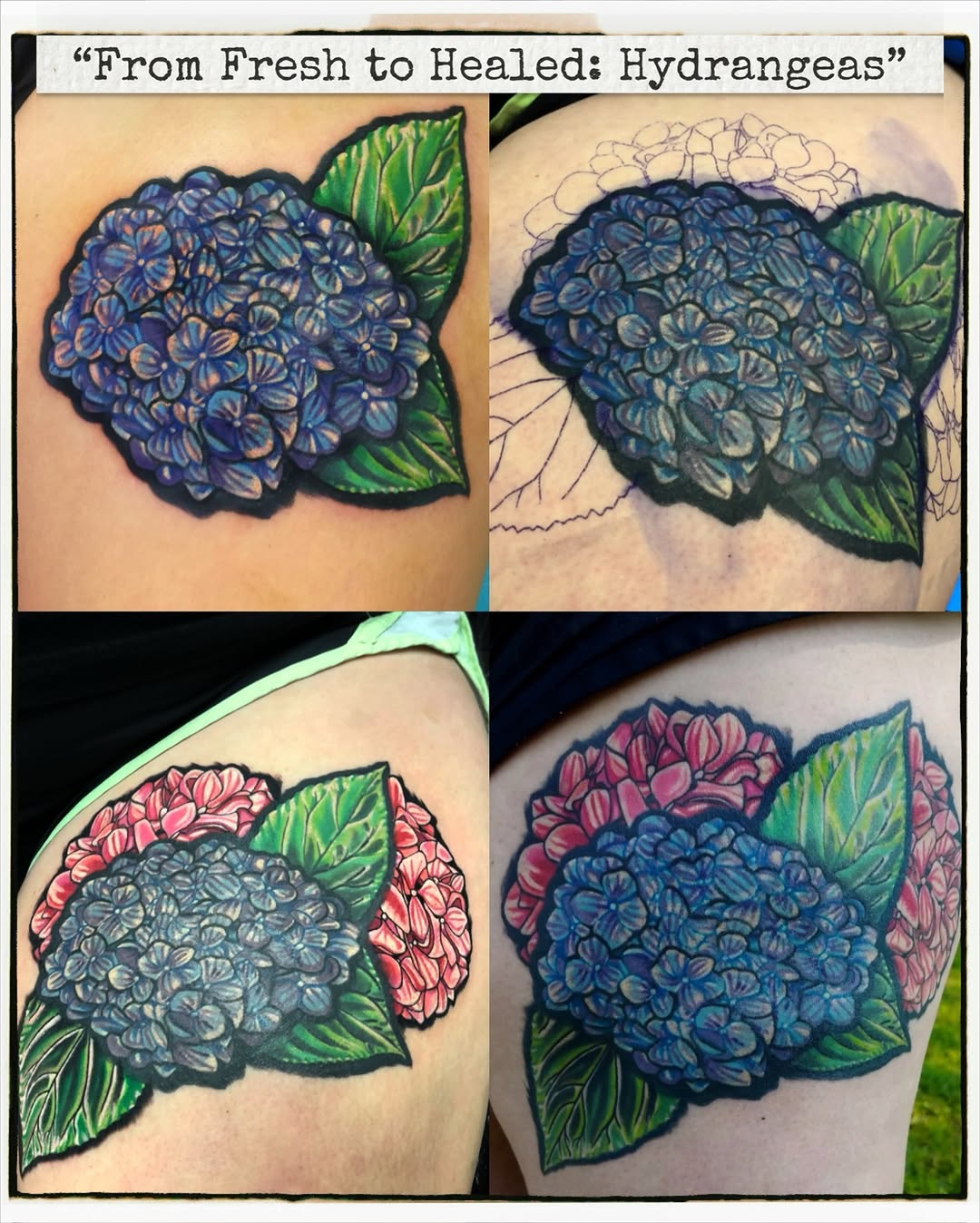 Hydrangeas neo-traditional tattoo on the shoulder by Hugh Anthony Washington, Hattiesburg, Mississippi