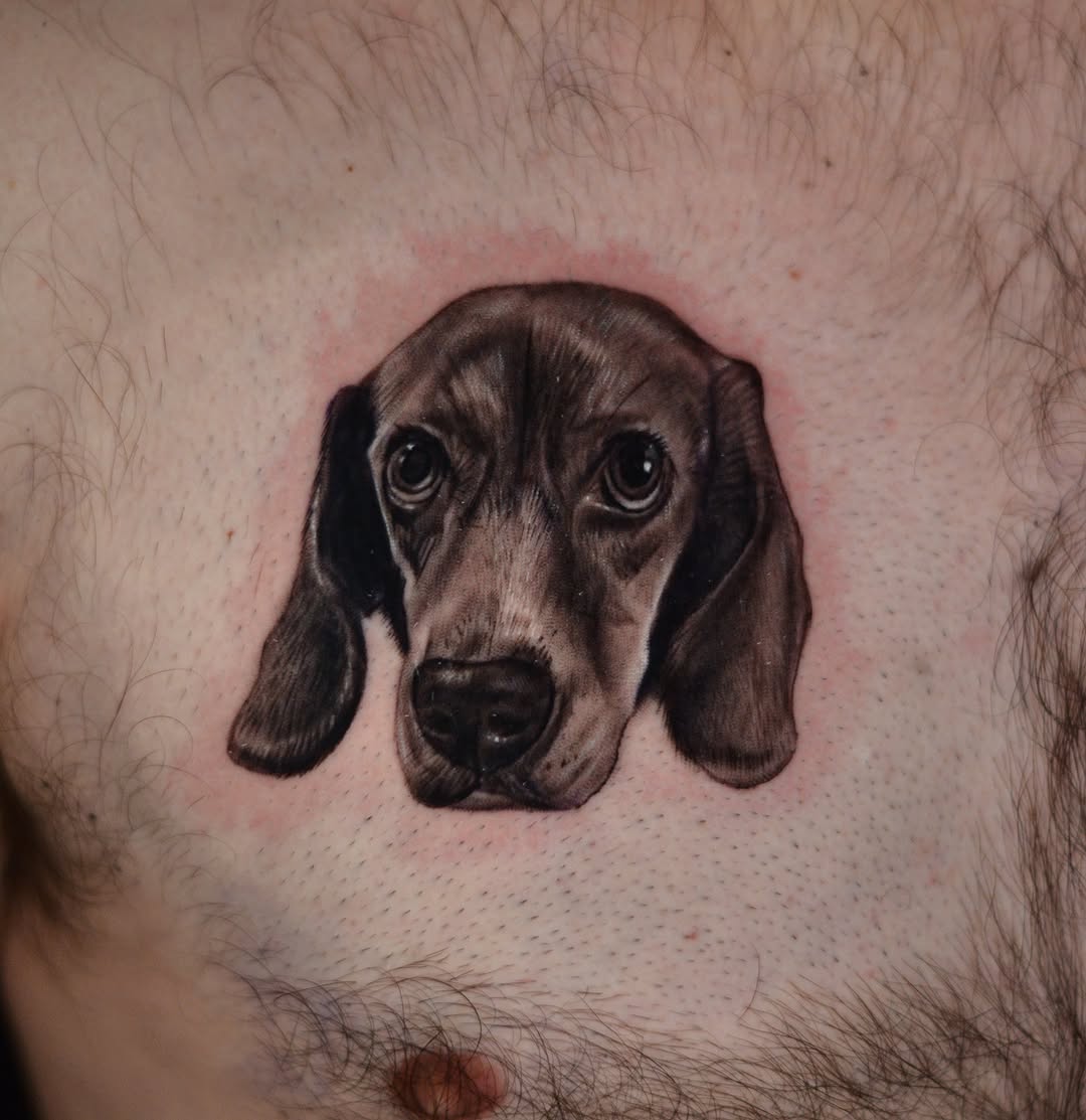 Dog portrait realism tattoo on the chest by Jules, Arlington, Texas