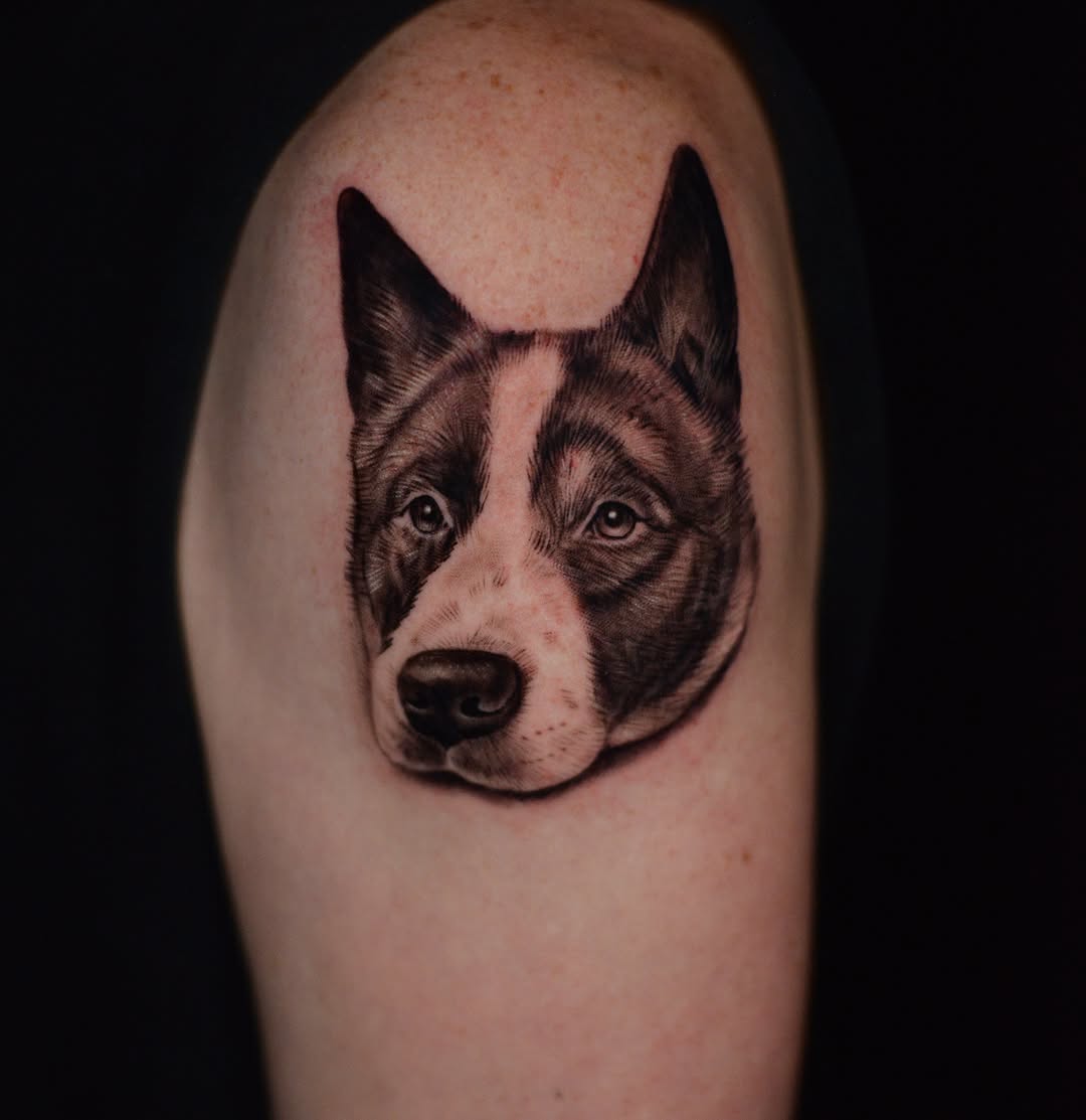 Dog portrait realism tattoo on the forearm by Jules, Arlington, Texas