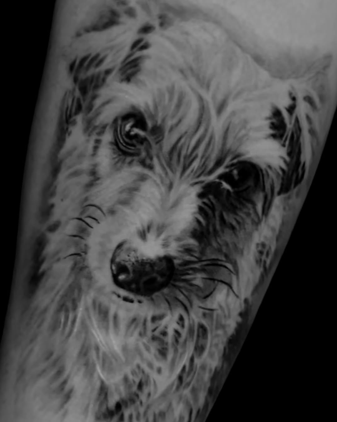Dog portrait realism tattoo on the forearm by Tattoo Artist