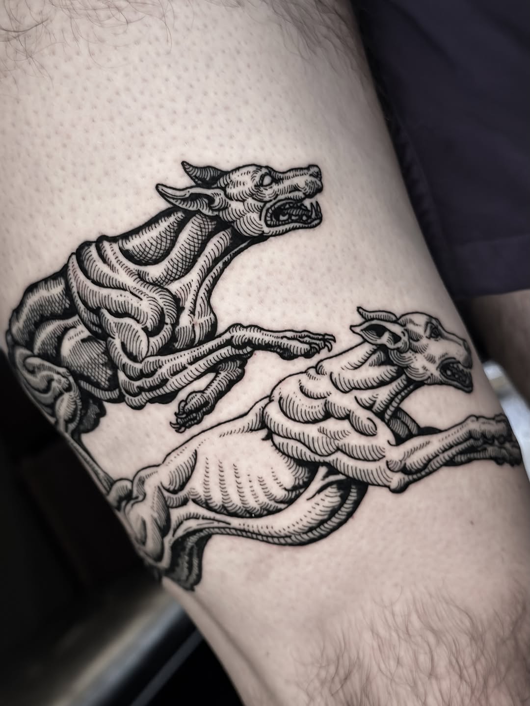 Tattoo by @dokk_vintage — blackwork, illustrative