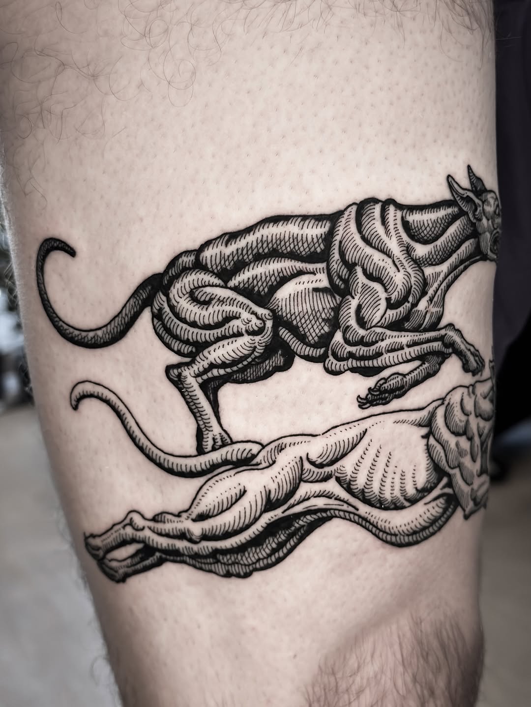 Tattoo by @dokk_vintage — black_and_grey, illustrative