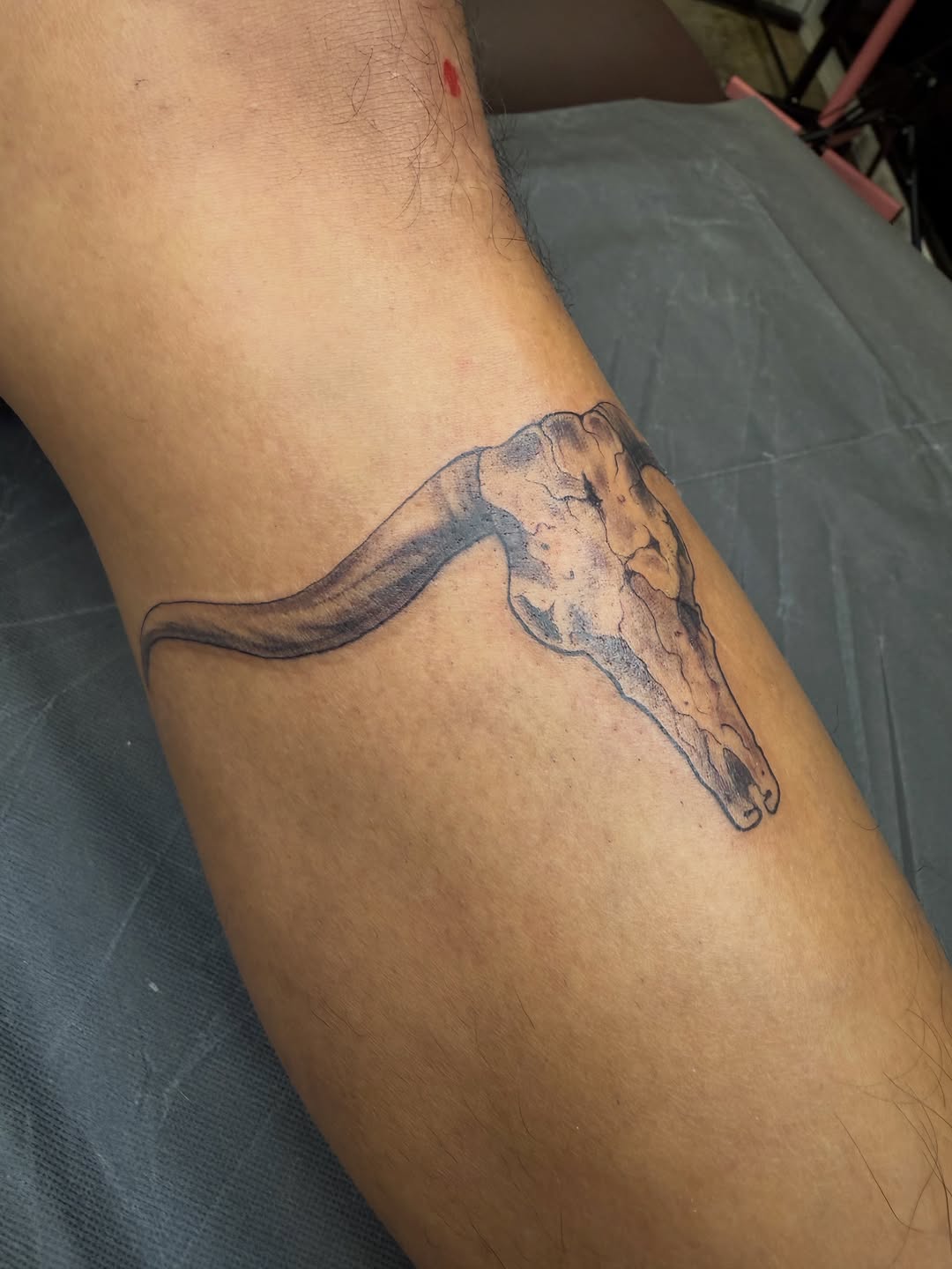 Animal skull dark art tattoo on the forearm by Ricky Sanchez, Duncanville, Texas