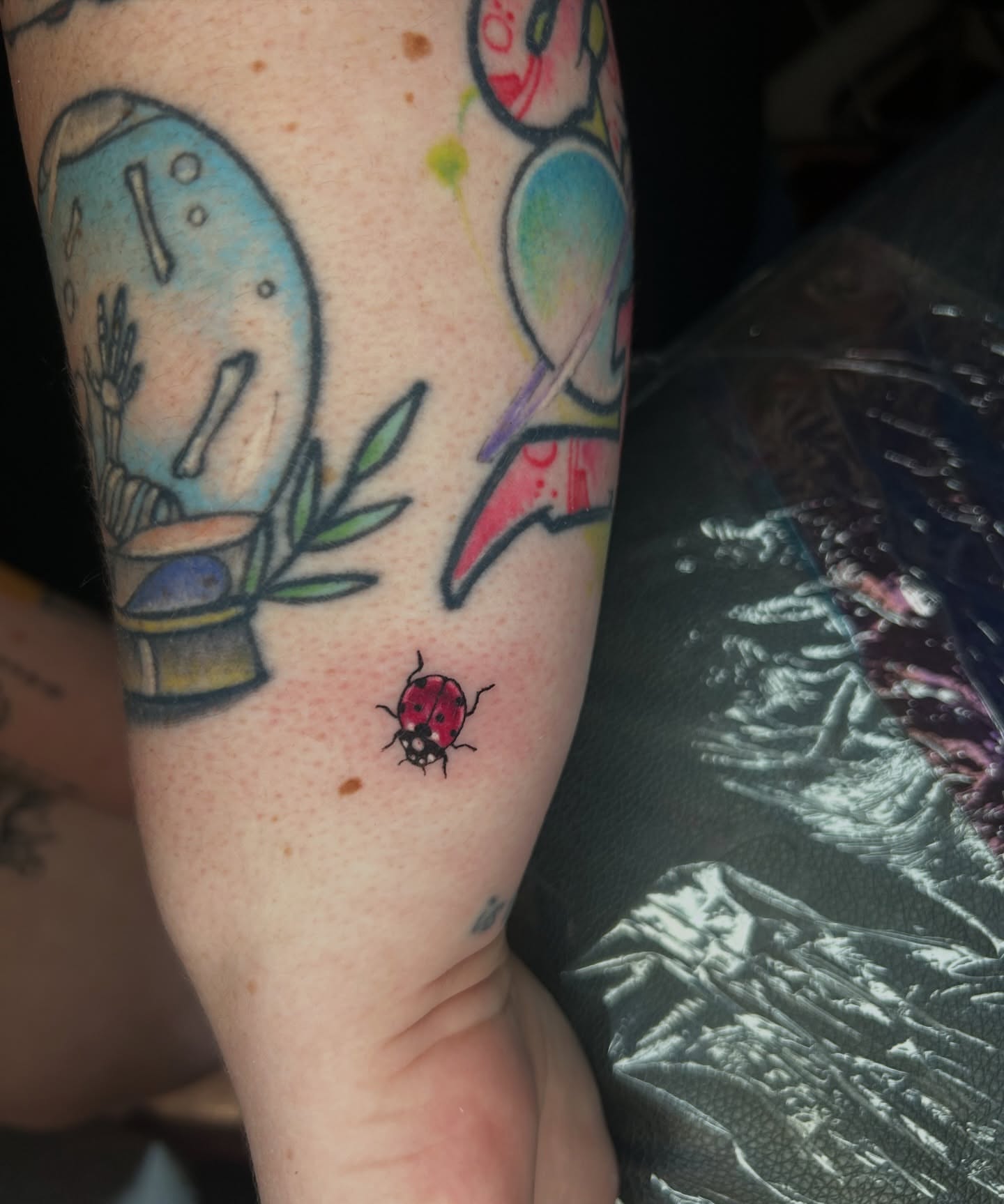 Tattoo by @inclusiveink_fran — dotwork