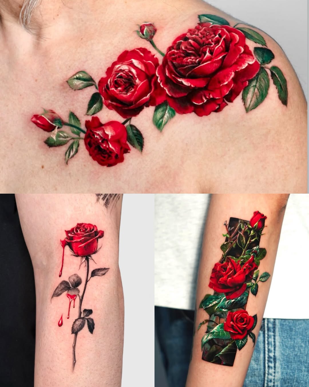 Red roses neo-traditional tattoo on the shoulder by Tattooist HARRY COLOR