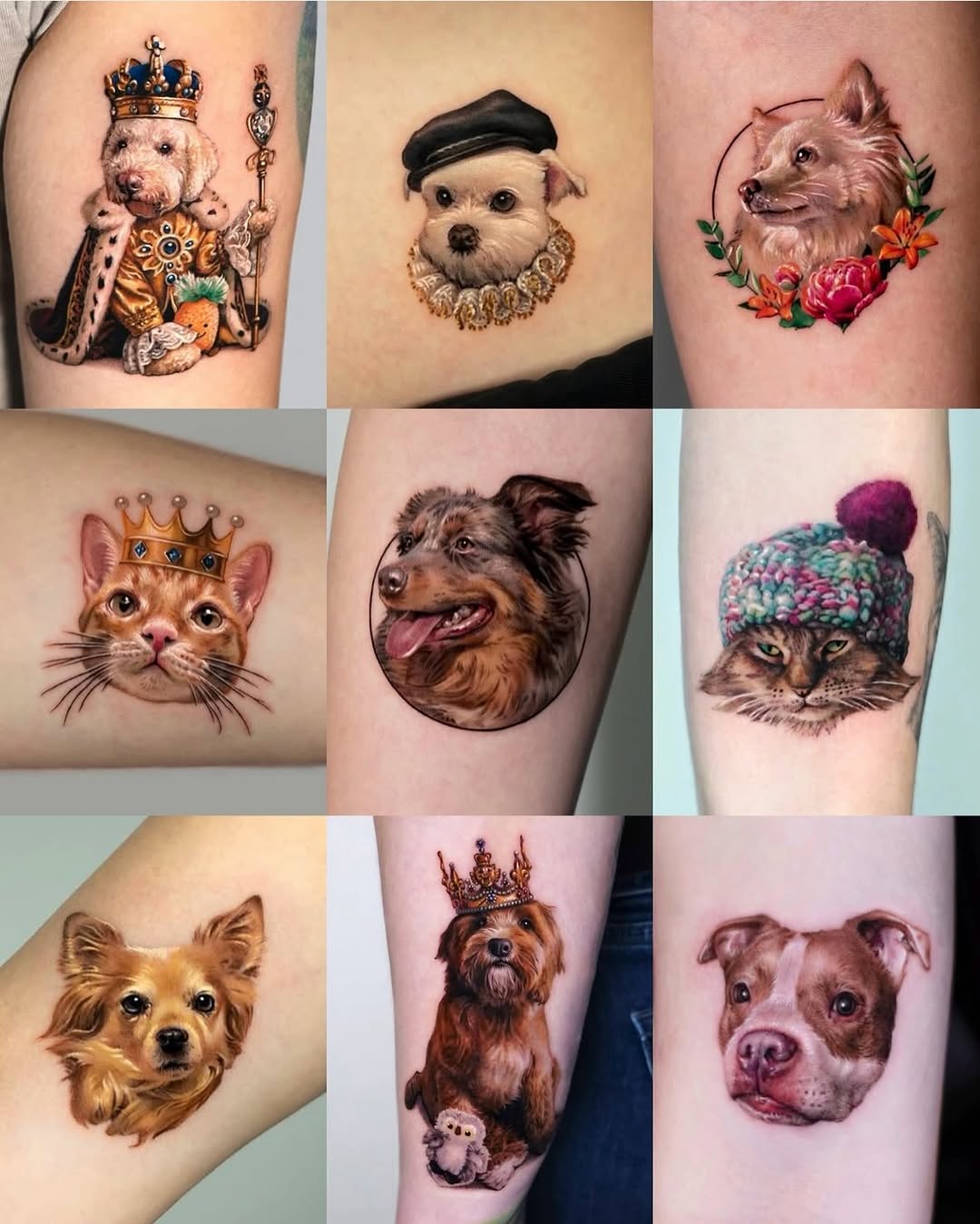 Dog as king realism tattoo on the forearm by Tattooist HARRY COLOR