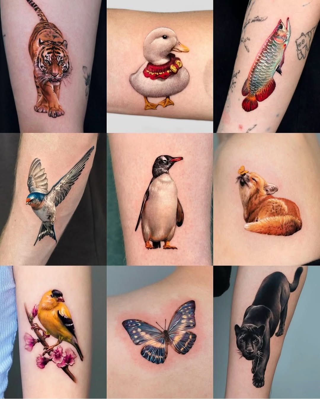Collection of animal tattoos realism tattoo by Tattooist HARRY COLOR
