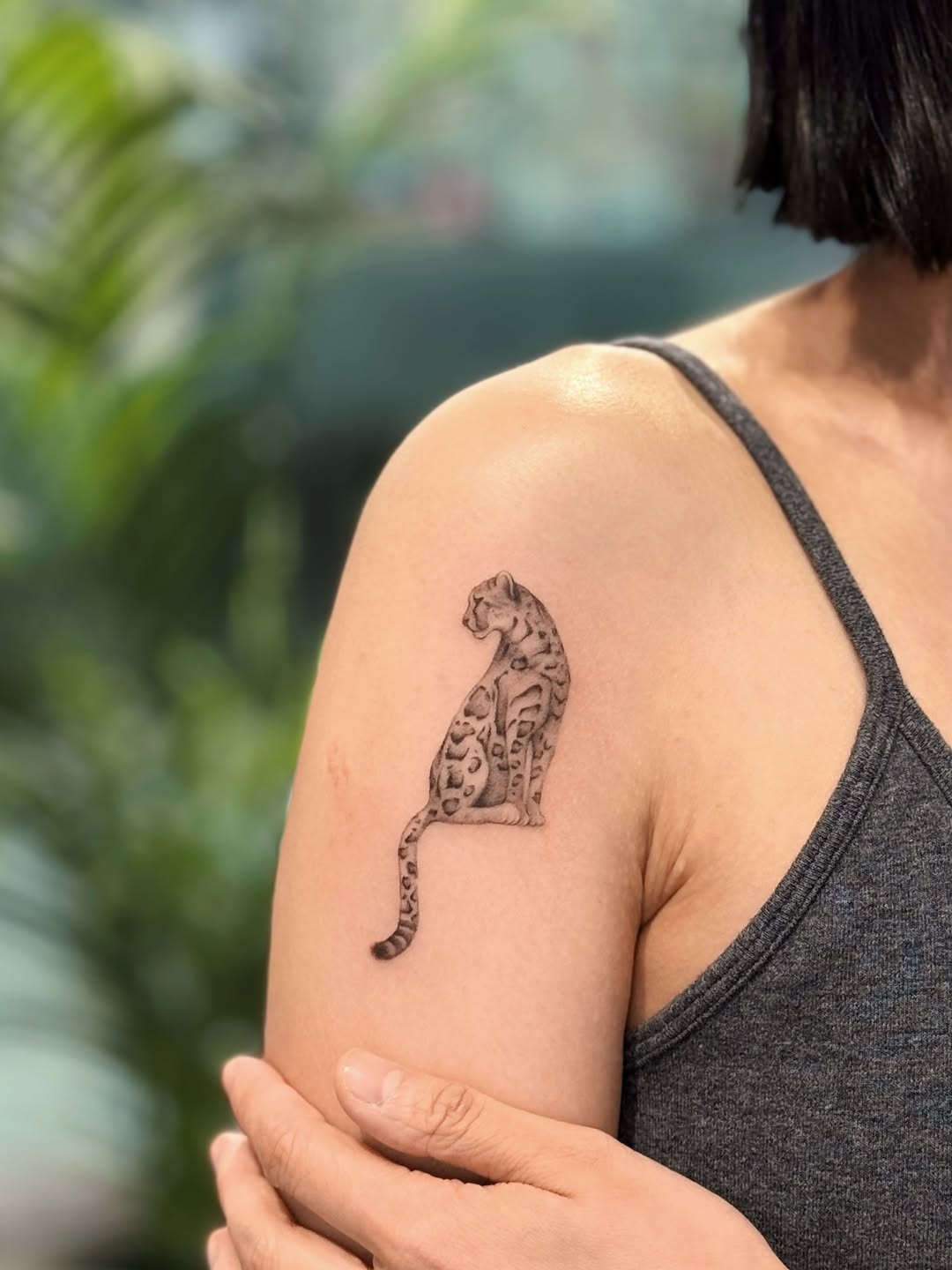 Leopard realism tattoo on the shoulder by 𝕁𝕖𝕞, Richmond, British Columbia